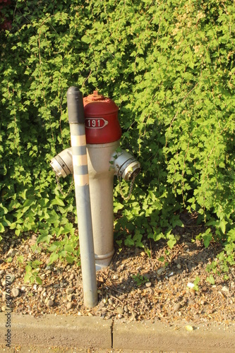 Wasserhydrant an Strassenrand mit Pfosten