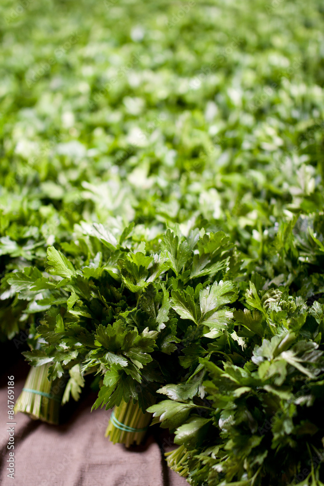 Obraz premium parsley