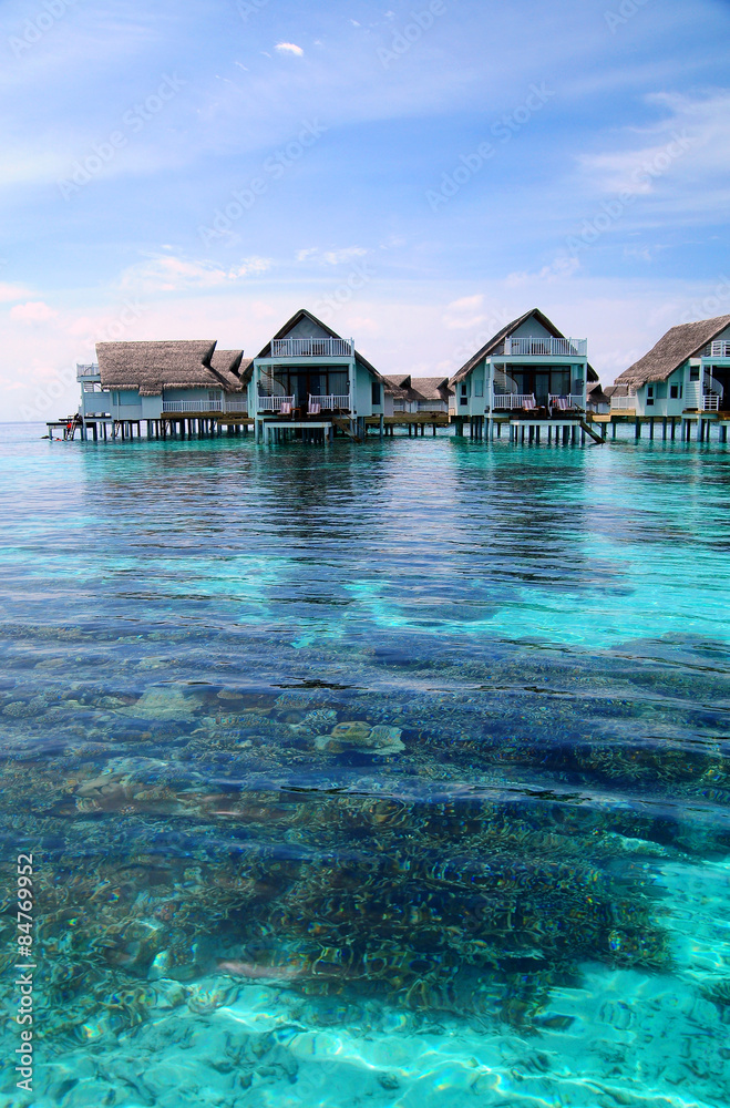 Coral in Maldives