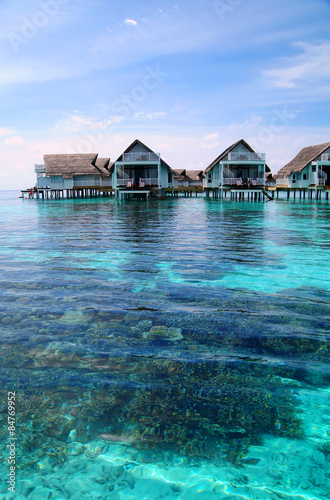 Coral in Maldives