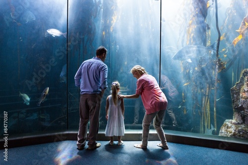 Wear view of family looking at fish tank 