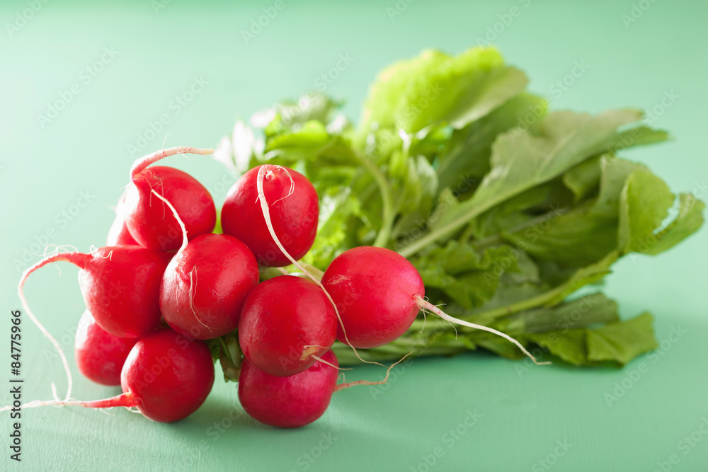 fresh radish with leaves over green background fresh radish with leaves over green background