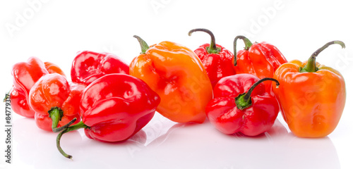 Fresh habanero peppers photo