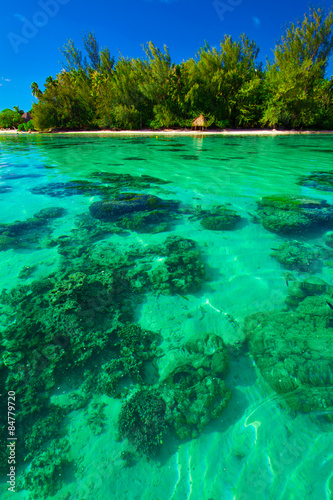 Underwater coral reef next to green tropical island on Moorea © Martin Valigursky