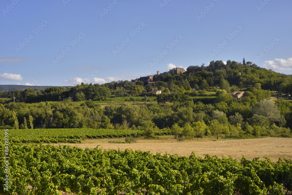 Les vignobles au pied du village médiéval de Goult (84220) perché sur sa colline, département du Vaucluse en région Provence-Alpes-Côte d'Azur, France