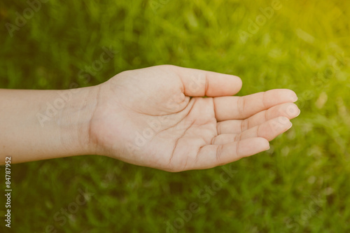 Woman hand on green grass ( Filtered image processed vintage eff © jannoon028
