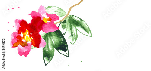 Vector background with red watercolor camellias