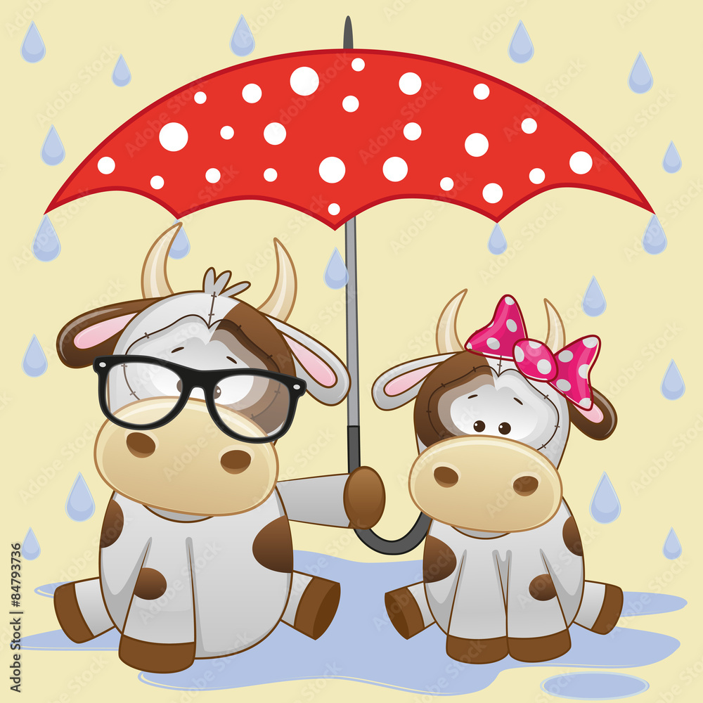 Two Cows with umbrella Two Cows with umbrella