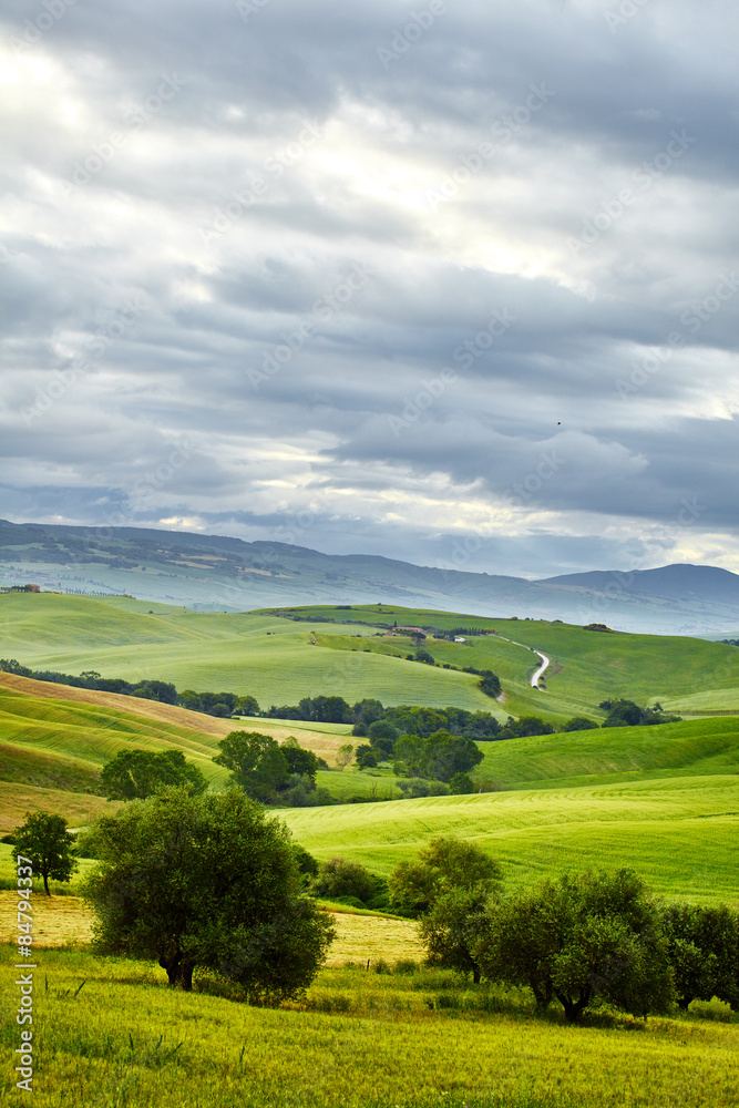 beautiful summer landscape