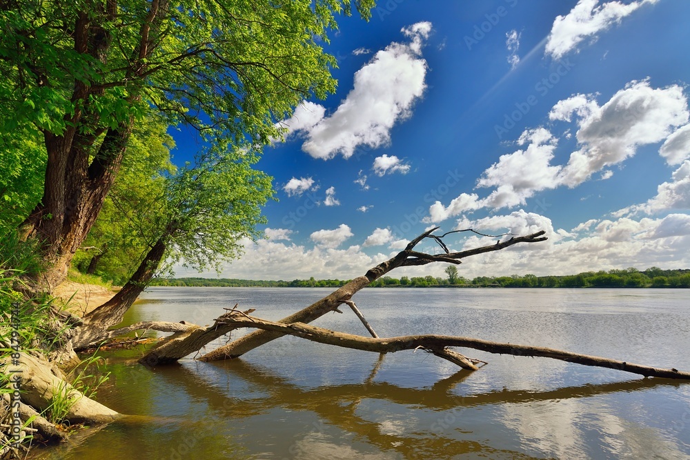 Wild bank of the river Vistula in Poland.