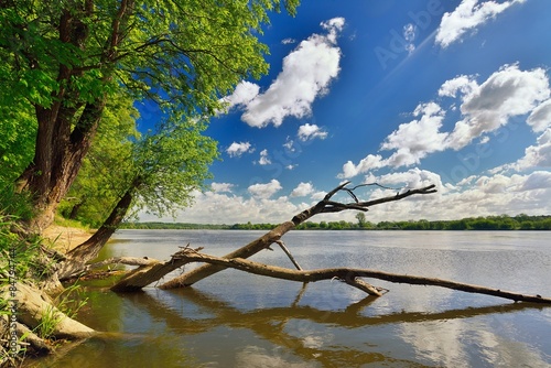 Obraz na płótnie Wild bank of the river Vistula in Poland. w salonie