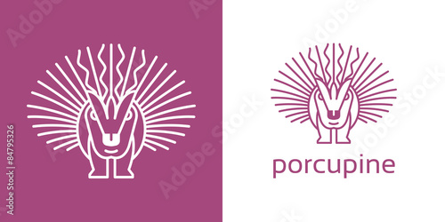 porcupine, animal, hedgehog, nature