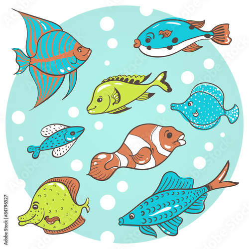 8 fish