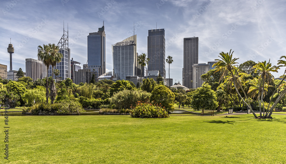 Panorama im Botanischen Garten Sydney