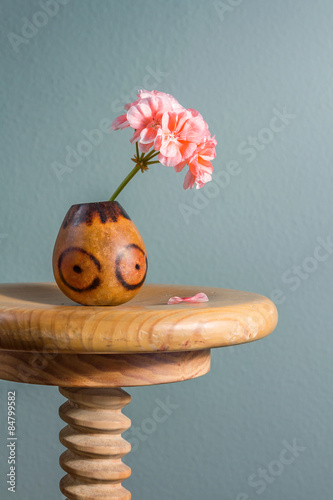 Fototapeta Naklejka Na Ścianę i Meble -  Geranio en banqueta / Una flor de geranio blanca y rosa en un pomo sobre una banqueta de madera regulable, contra un fondo de pared verde grisáceo