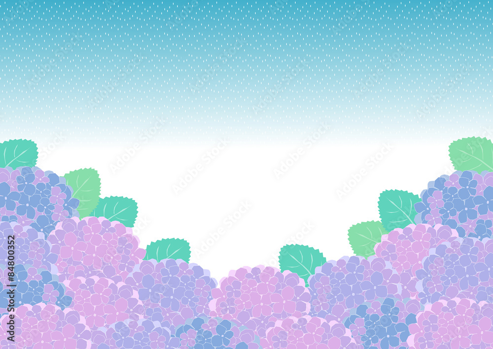 紫陽花と雨のイラスト 紫陽花と雨のイラスト