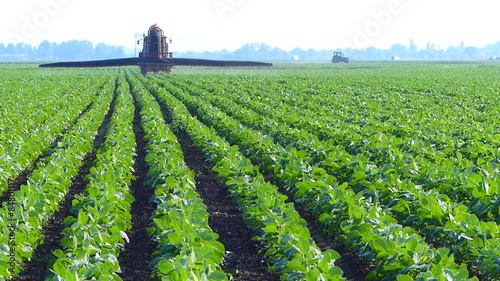 Summer sprinkling of soybean field.