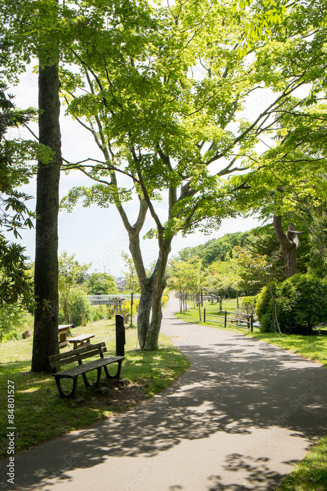 公園のベンチ