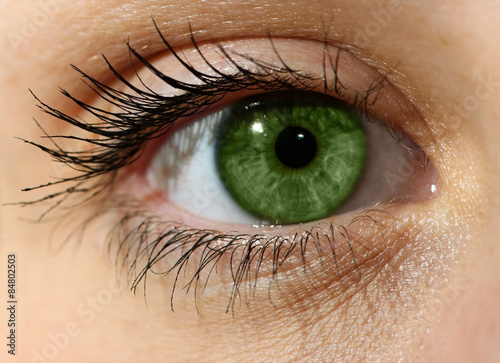 Close up green eye with makeup 