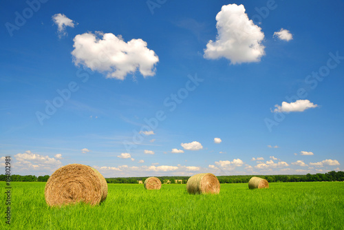 straw bales in a lush green field and blue sky