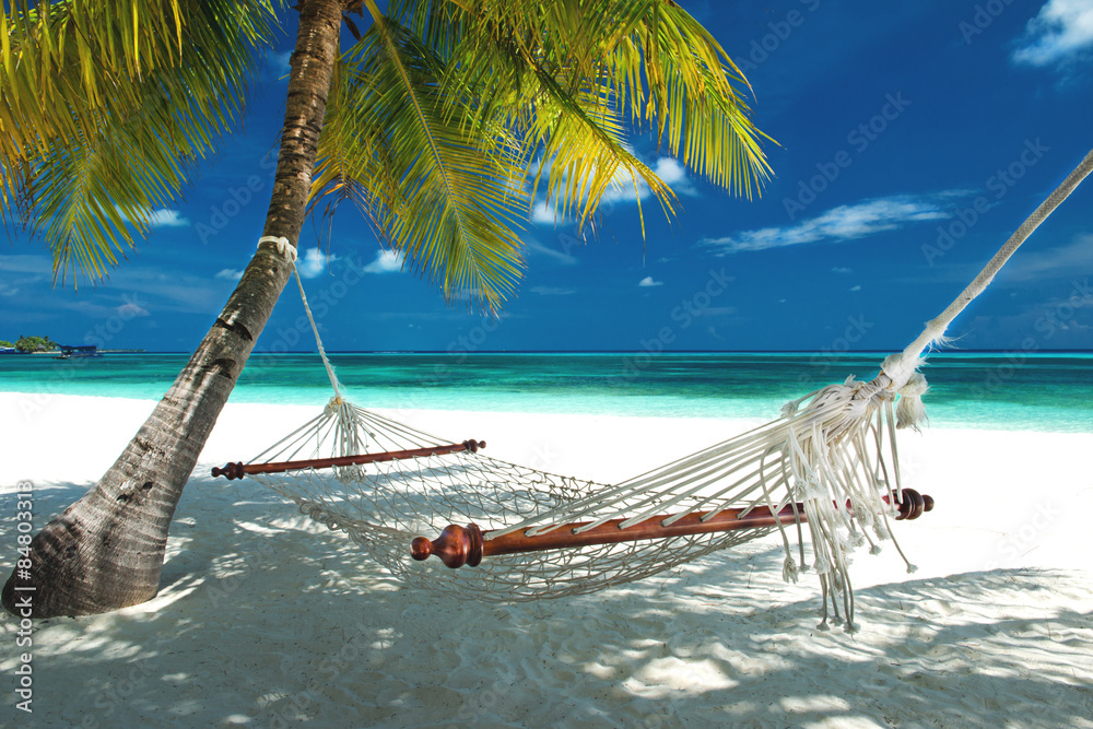 Wunschmotiv: Hängematte am Strand auf den Malediven #84803313 | Motive |  Druck-Shop24 - Ihr Foto auf Leinwand, Fotopapier, Poster, Alu Dibond,  Acrylglas, Klebefolie oder Forex