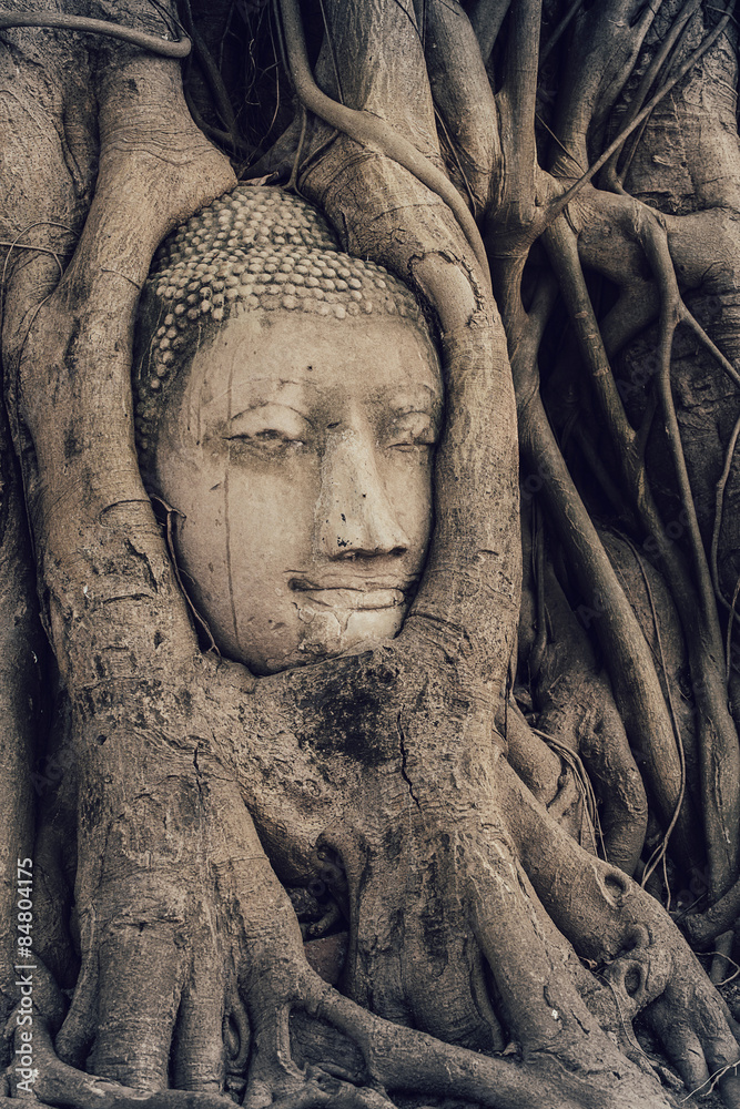 Head of Buddha statue in the tree roots, Wat Mahathat temple, Ayutthaya, Thailand, UNESCO World Heritage