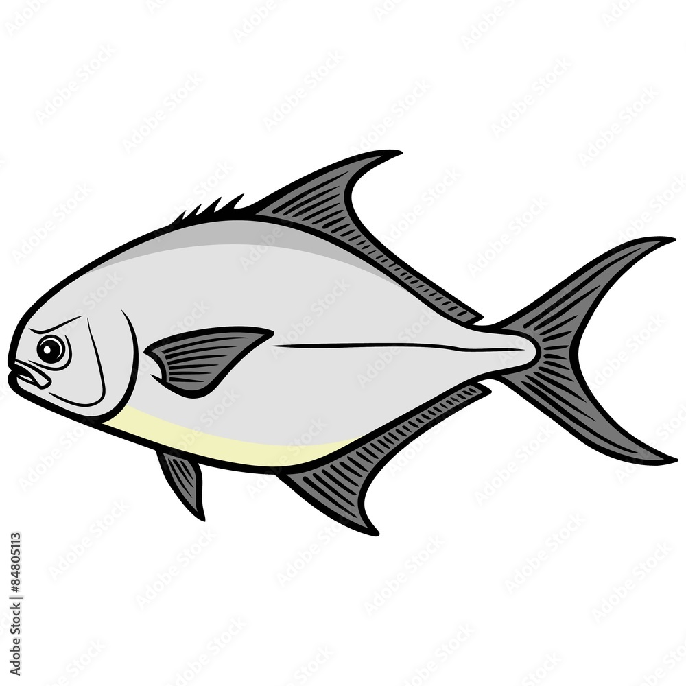 Obraz premium Pompano Fish