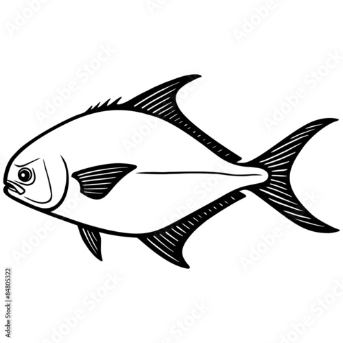 Fényképezés Pompano Fish Illustration
