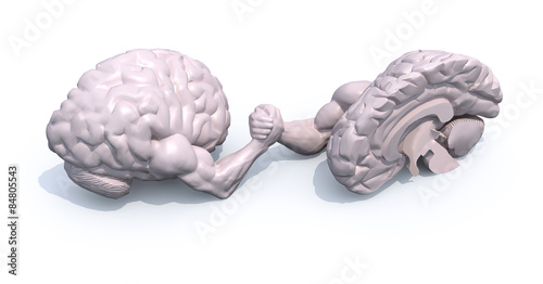 half brains that make arm wrestlin