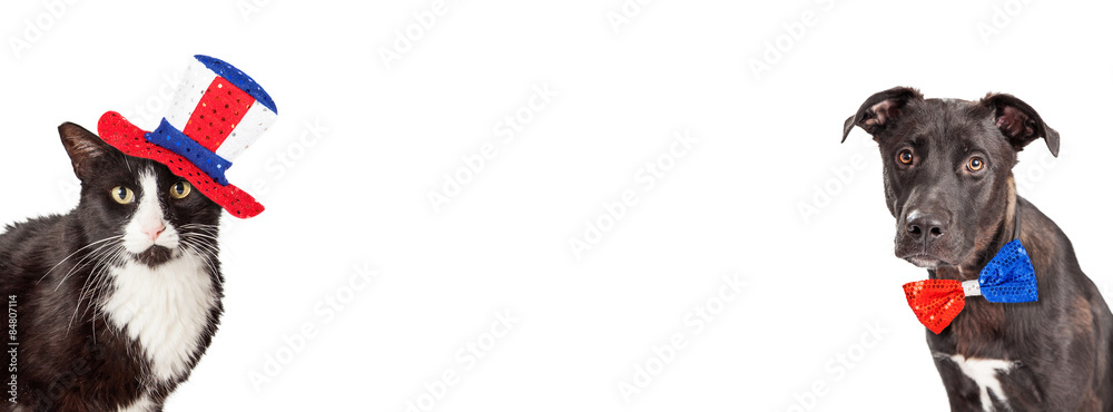 Fototapeta premium American Dog and Cat Website Banner