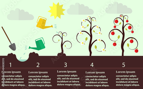 Planting apple trees flat vector