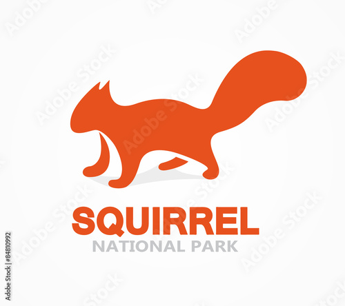 Vector squirrel logo or icon