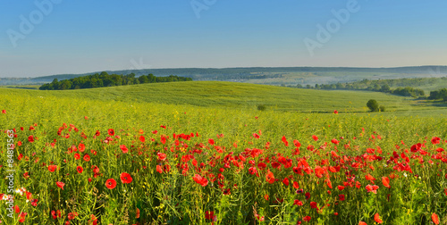 Summer countryside with poppies