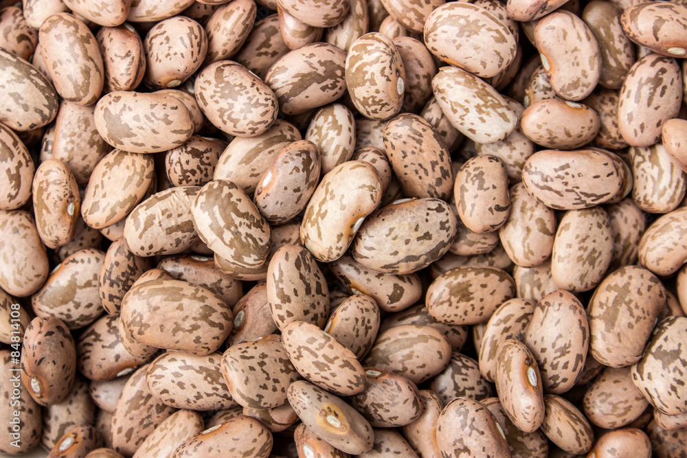 pinto beans / dried pinto beans pinto beans / dried pinto beans