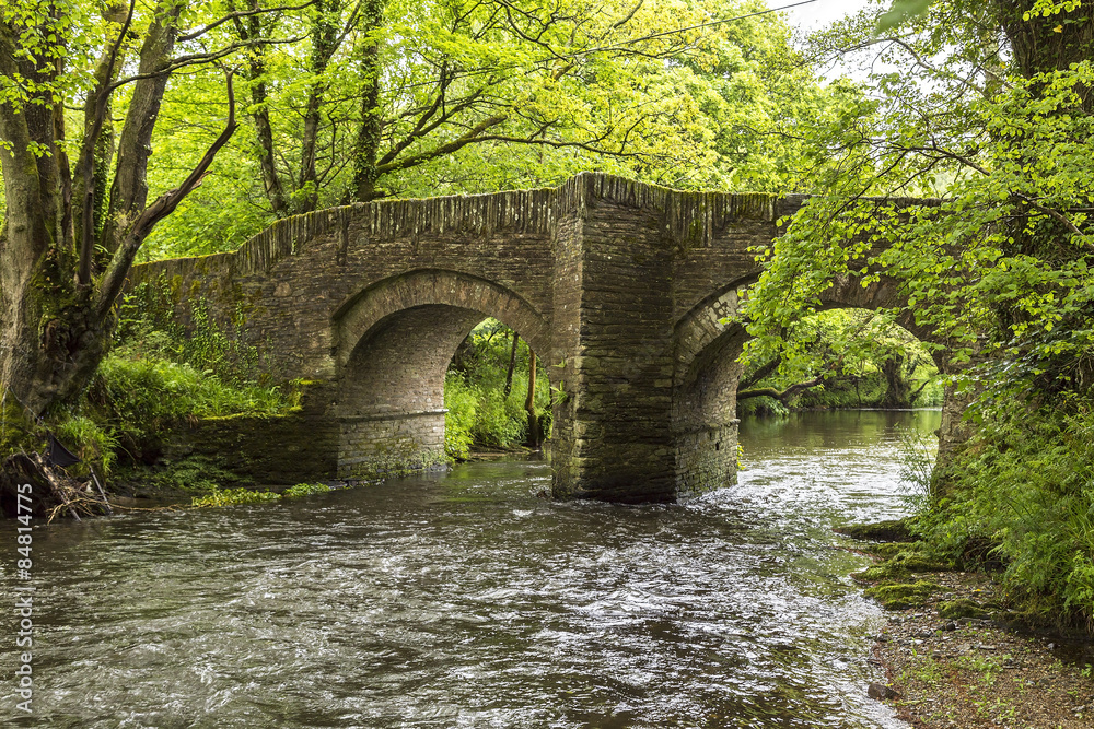 River bridge