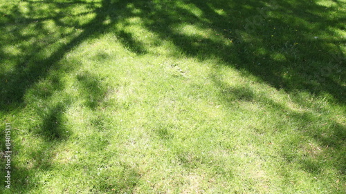 Time lapse of tree shadows on the grass