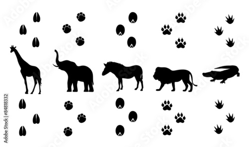 Vector set of walking safari animal tracks