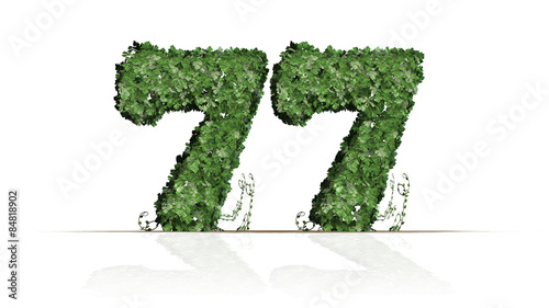 Number 77 from green ivy leaves - Isolated on white background