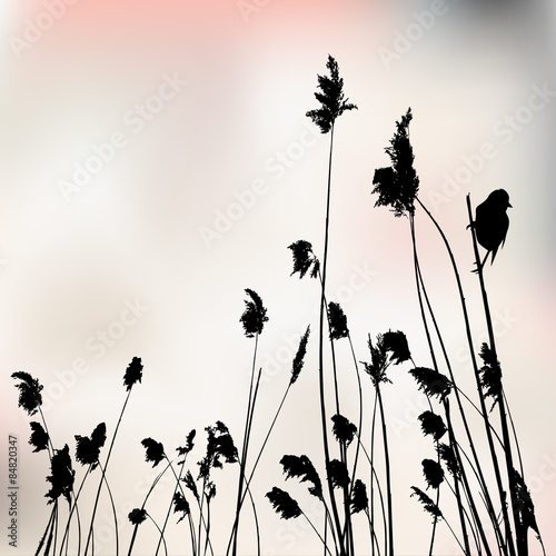 A small bird is sitting on reed - vector illustration