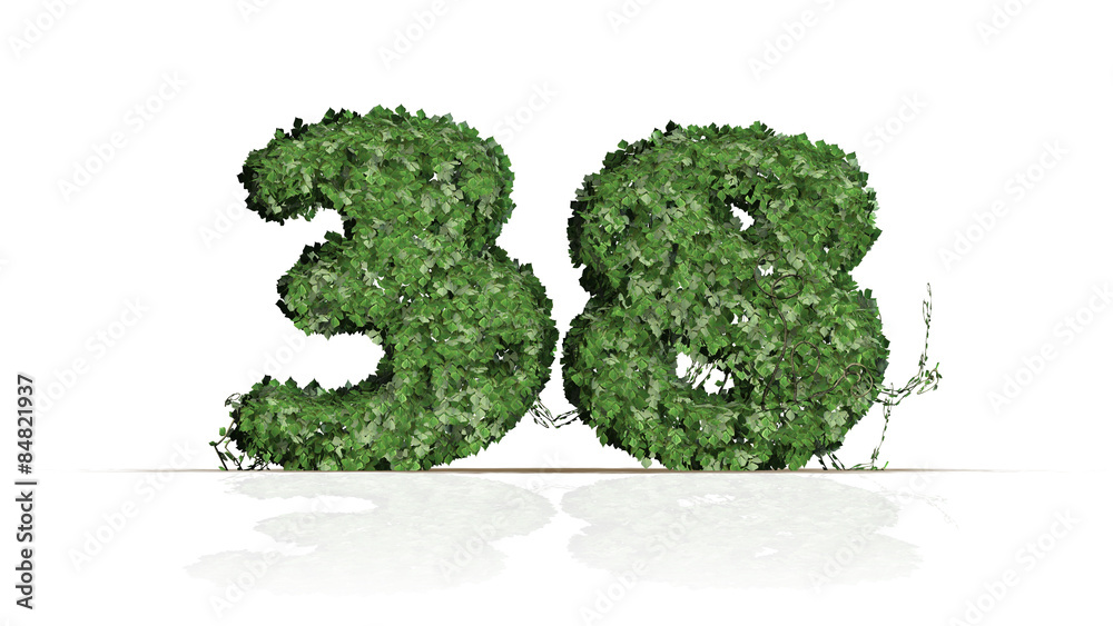 Number 38 from green ivy leaves - Isolated on white background Number 38 from green ivy leaves - Isolated on white background