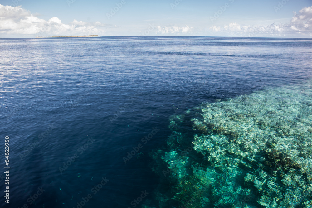 Coral Reef Drop Off and Deep Ocean