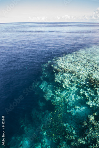 Dramatic Coral Reef Drop Off