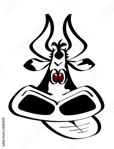 Vache