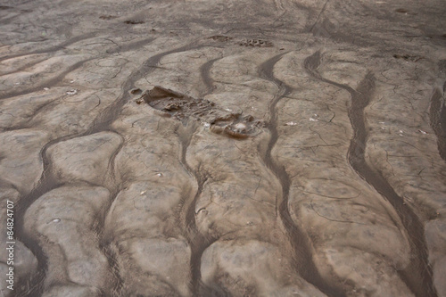 Textured dried mud from Calgary's 2013 flood disaster.
