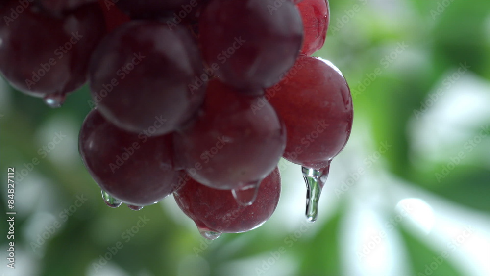 Water splashing on grapes in slow motion