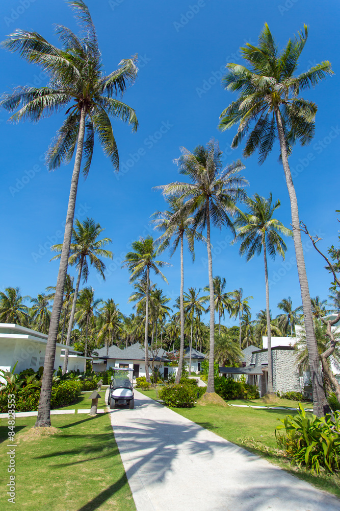 Beautiful tropical resort bungalows under the palm trees