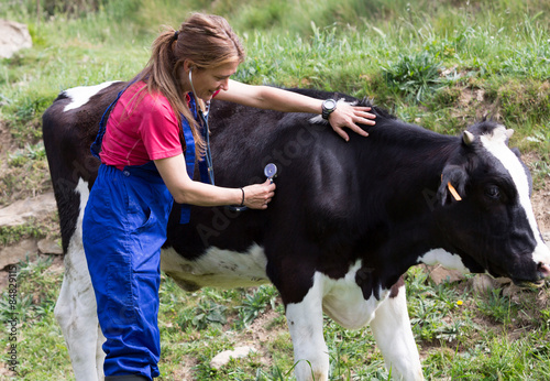 Veterinary on a farm