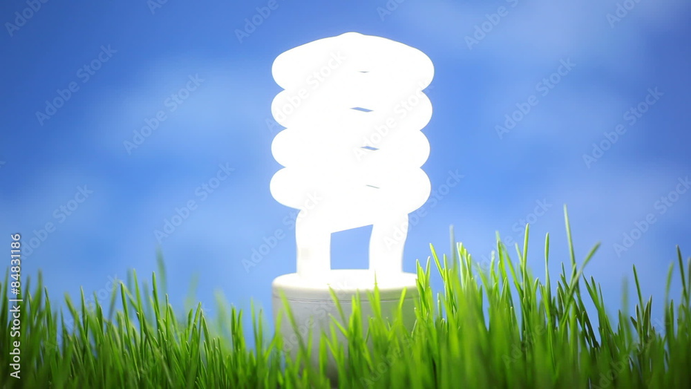 Compact fluorescent light bulb in grass