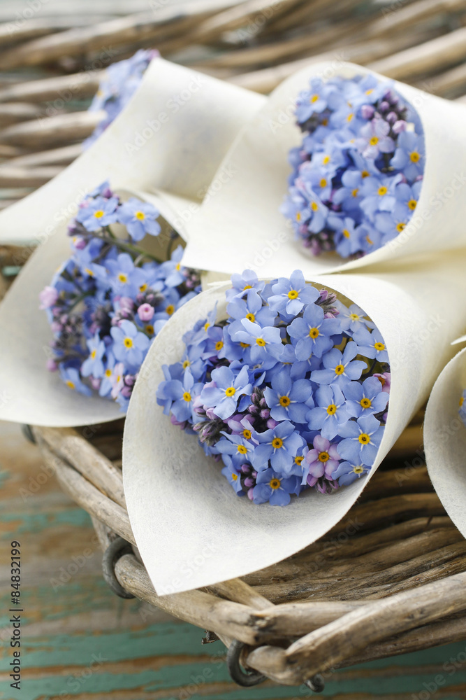 Paper cornets with forget-me-not flowers (Myosotis) Paper cornets with forget-me-not flowers (Myosotis)