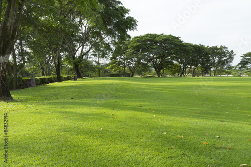 widely golf course in very nice day in summer